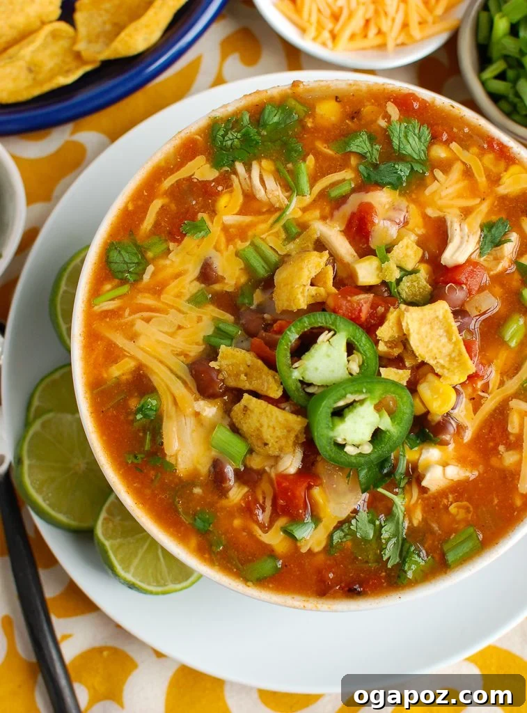Zesty Chicken Enchilada Bowl 3 A bowl of Slow Cooker Chicken Enchilada Soup garnished with sliced jalapeños and cilantro, showcasing its rich texture.