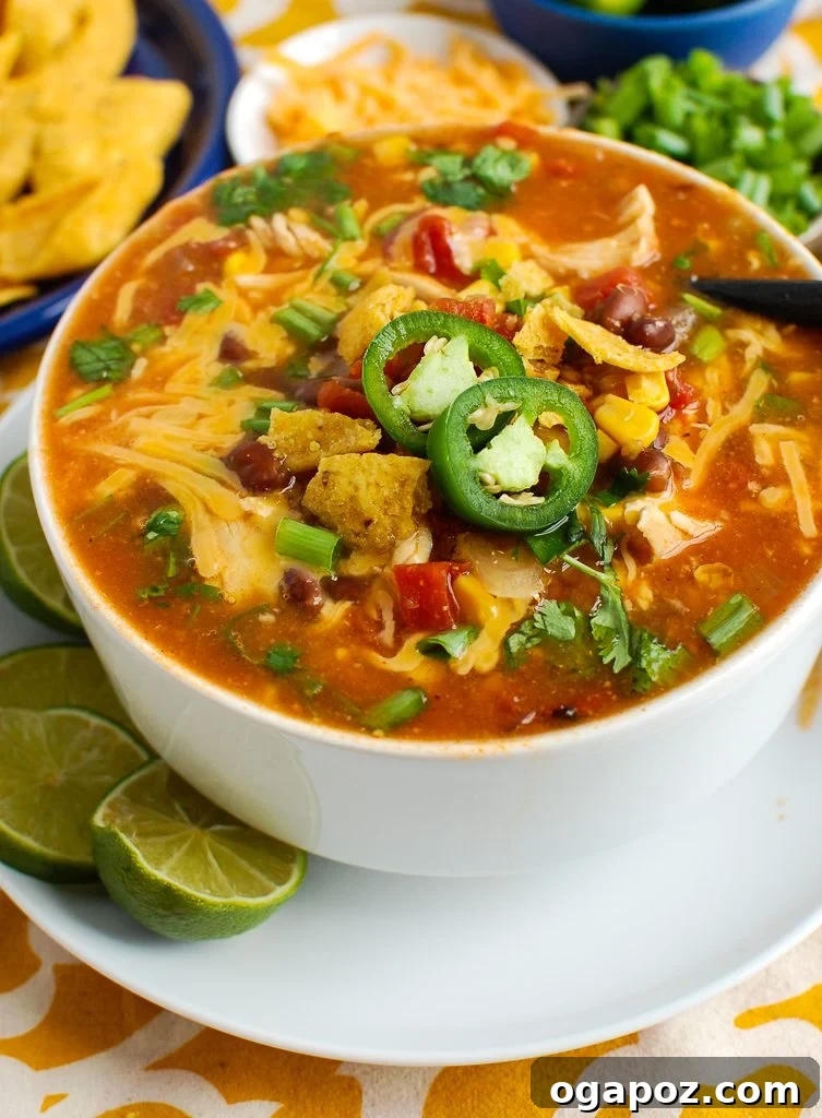 Zesty Chicken Enchilada Bowl 4 Close-up of Chicken Enchilada Soup with a spoon, highlighting its creamy texture and rich color.