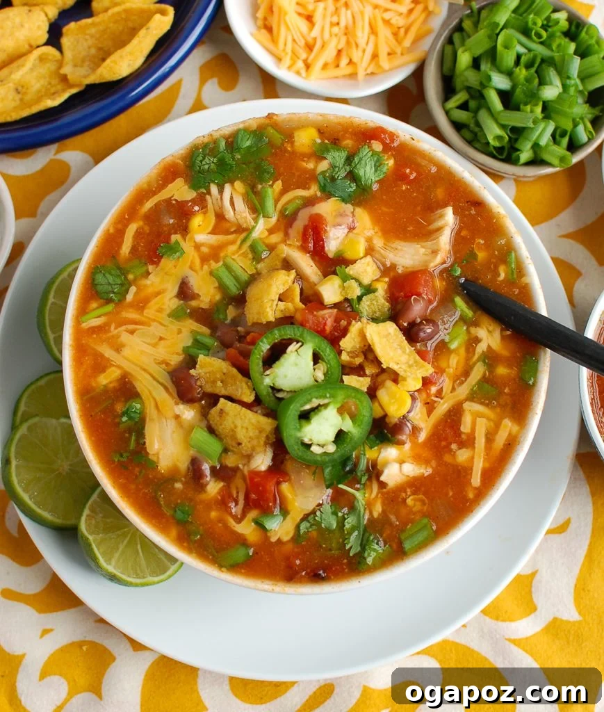 Zesty Chicken Enchilada Bowl 5 A bowl of Chicken Enchilada Soup topped generously with shredded cheese and fresh cilantro.