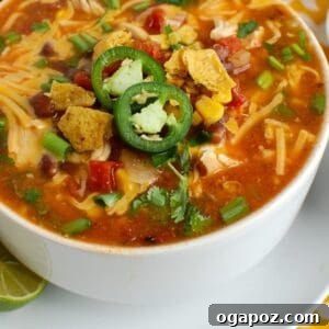 Overhead view of a hearty bowl of Chicken Enchilada Soup, ready to be served.