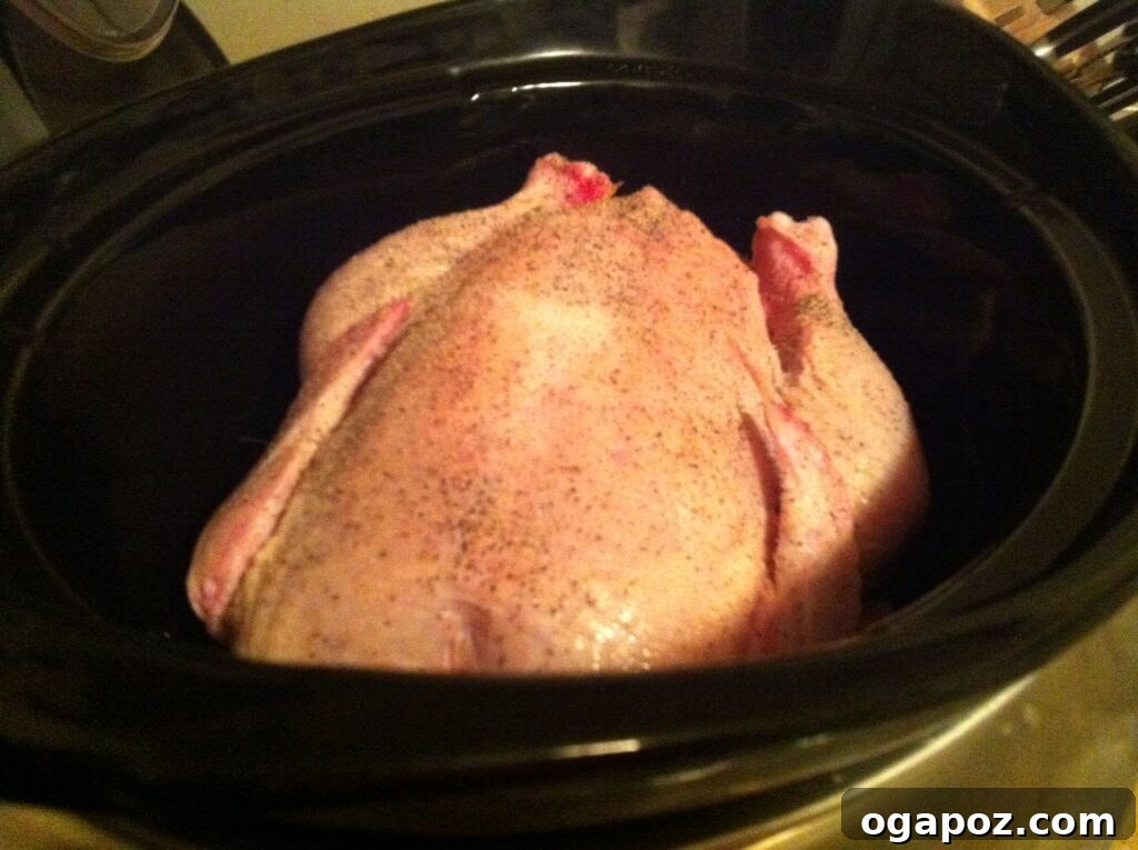 Whole chicken in a slow cooker, seasoned and ready for cooking.