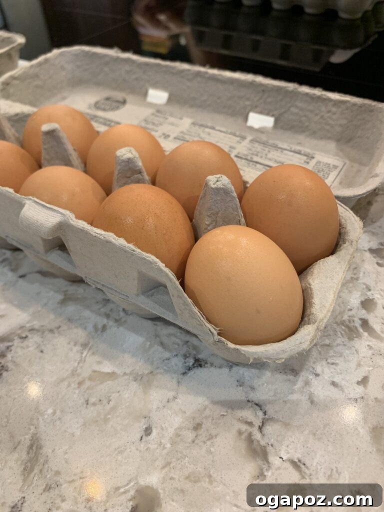 Rise & Shine Sausage Egg Bake 6 Fresh eggs in a carton, symbolizing quality ingredients for the casserole