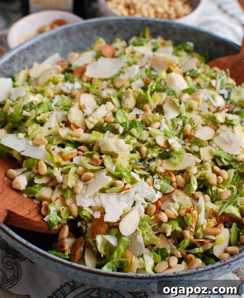 Brussels Sprout Ribbon Salad 2 Vibrantly green Shaved Brussels Sprouts Salad in a stylish blue bowl, garnished with toasted nuts and Parmesan cheese.