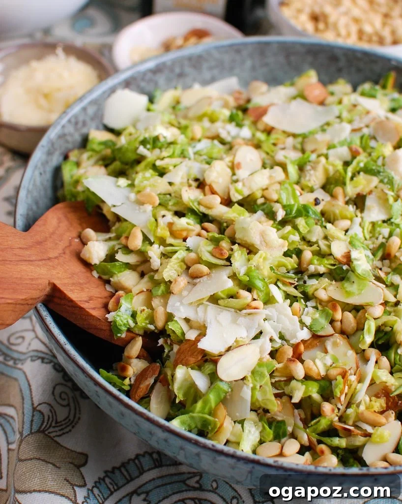 Brussels Sprout Ribbon Salad 4 Shaved Brussels Sprouts Salad generously topped with grated Parmesan cheese, ready to be served.