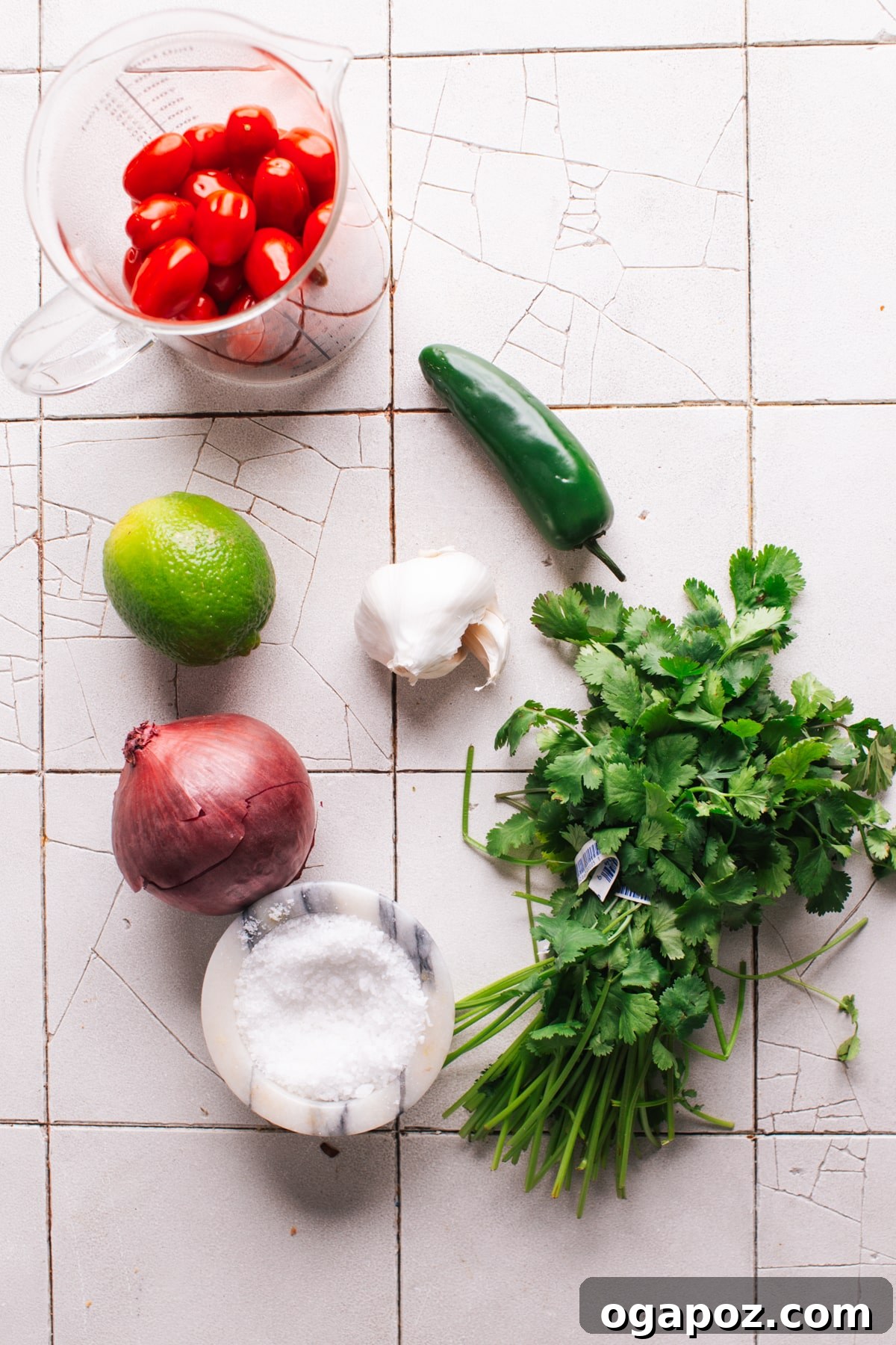 5 Minute Fresh Taco Salsa 3 Ingredients for Taco Salsa laid out