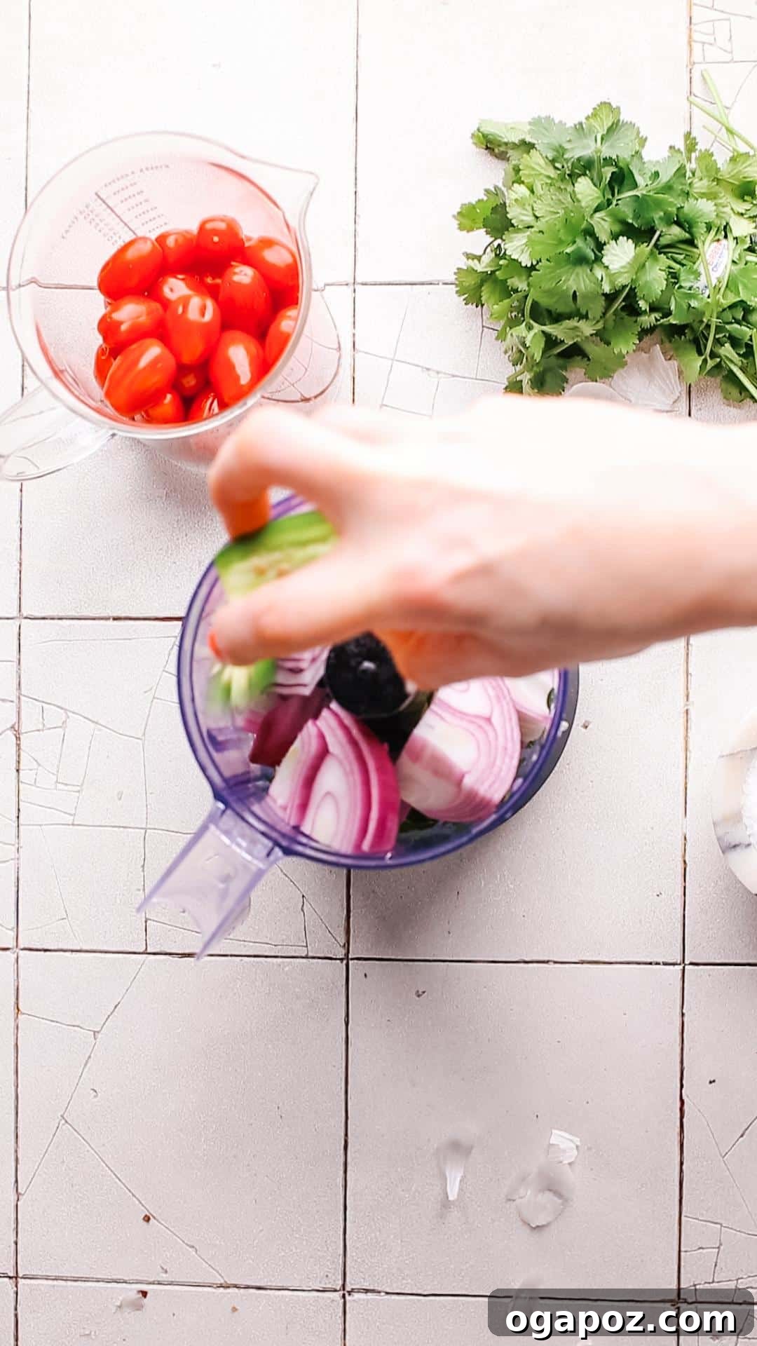 5 Minute Fresh Taco Salsa 5 Adding onion and other ingredients to a food processor