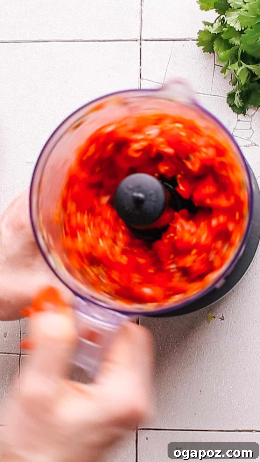5 Minute Fresh Taco Salsa 7 Blending tomatoes for salsa