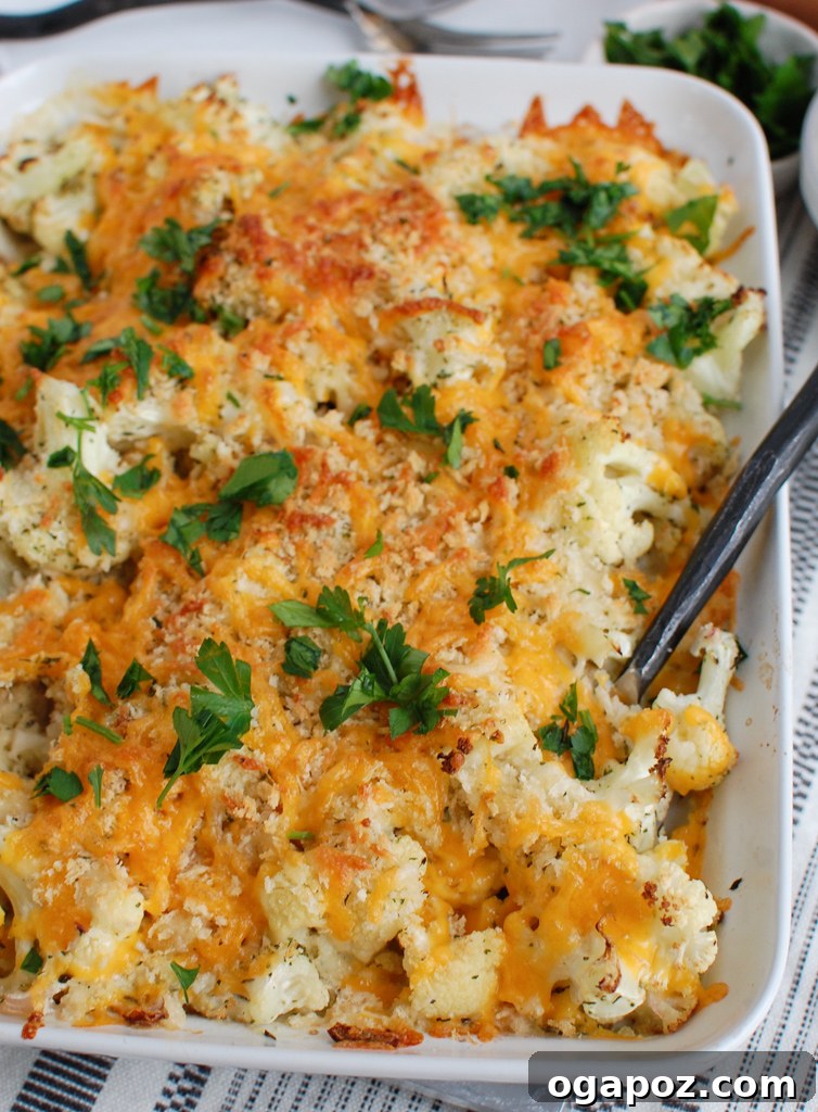 Baked Cheesy Cauliflower 3 Creamy Cauliflower Gratin served in an elegant white baking dish, ready to be enjoyed.