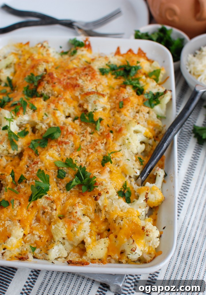 Baked Cheesy Cauliflower 4 Freshly baked Cauliflower Gratin in a pristine white baking dish, showing its golden-brown topping and creamy interior.