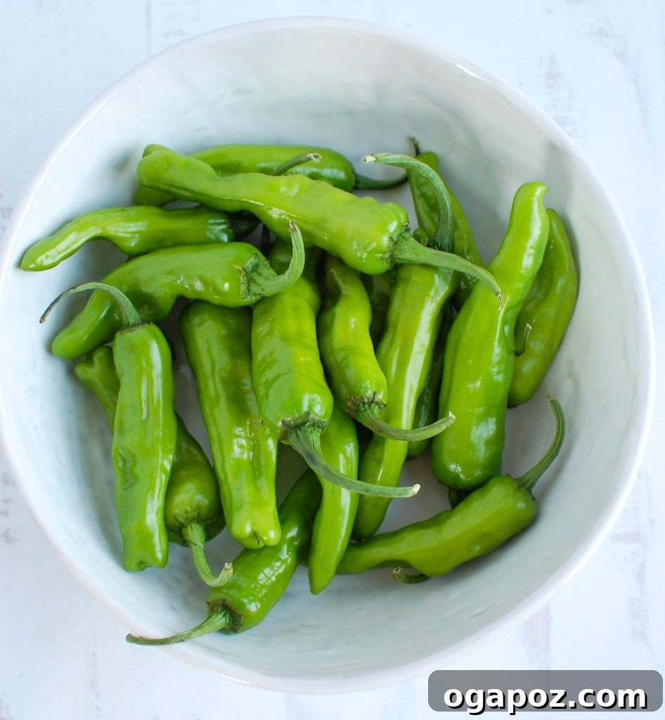Mastering Shishito Peppers 3 Shishito Peppers before cooked
