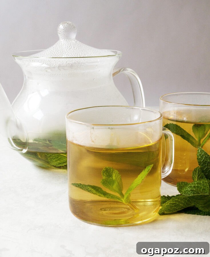 A traditional glass of refreshing Moroccan Mint Tea, garnished with fresh mint leaves.