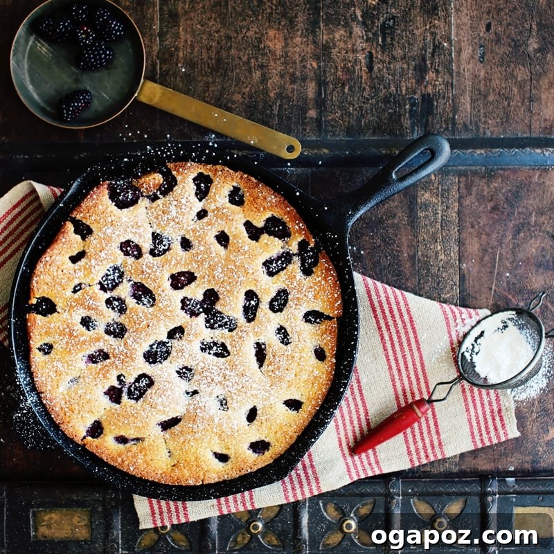 Luscious Blackberry Buckle 3 Close-up view of fresh blackberries nestled into a cake batter in a cast iron skillet.
