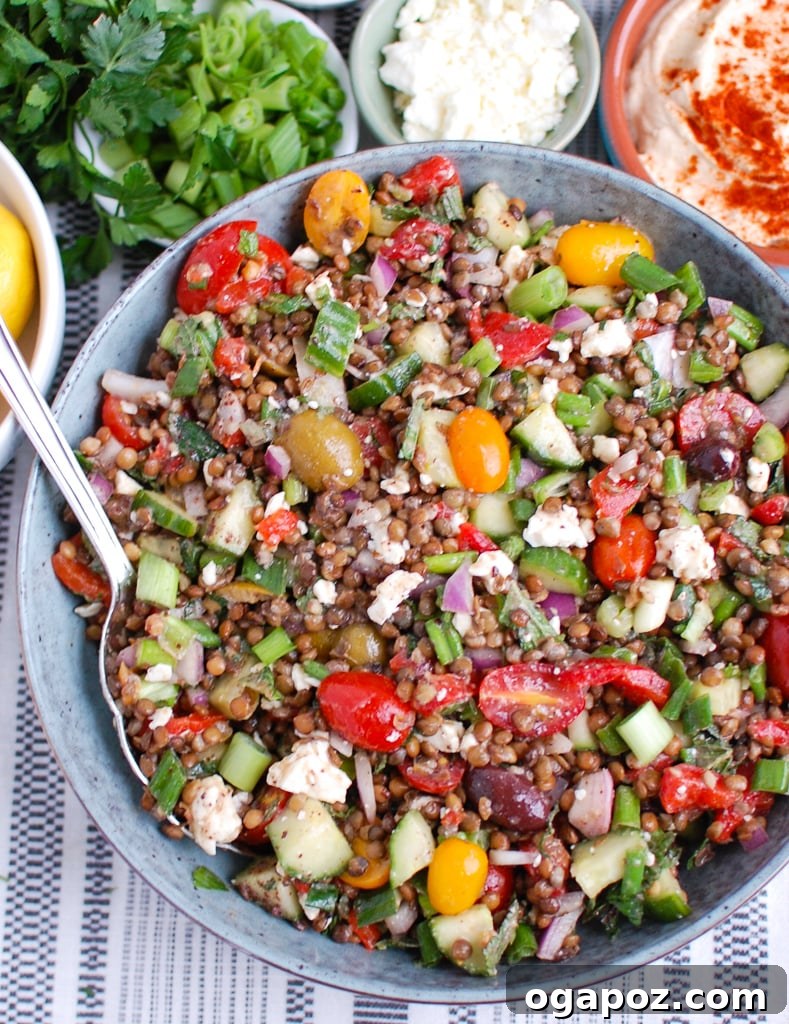 Vibrant Mediterranean Lentil Salad 2 Mediterranean Lentil Salad in a blue bowl with silver spoon