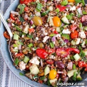 Vibrant Mediterranean Lentil Salad 7 Mediterranean Lentil Salad in a bowl with a spoon