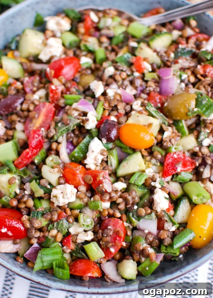 Vibrant Mediterranean Lentil Salad 5 Mediterranean Lentil Salad with spoon