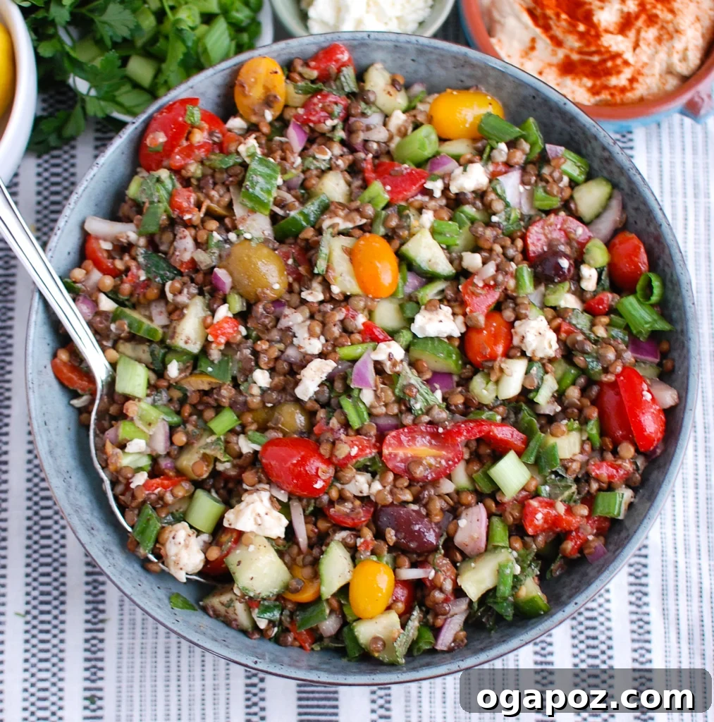 Vibrant Mediterranean Lentil Salad 6 Mediterranean Lentil Salad with spoon