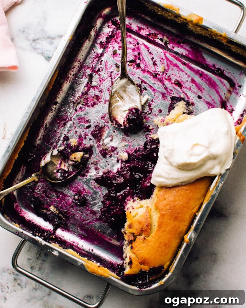 Luscious Blueberry Pudding Cake 3 A warm blueberry pudding cake in a baking pan, with two serving spoons poised to scoop out the delicious dessert, highlighting the rich blueberry filling peeking through.