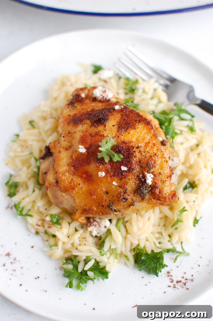 Beautifully baked Mediterranean Chicken garnished with fresh parsley on a white plate, ready to serve.