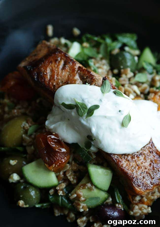 Tomato Farro Salad with Salmon and Lemon Yogurt Sauce.