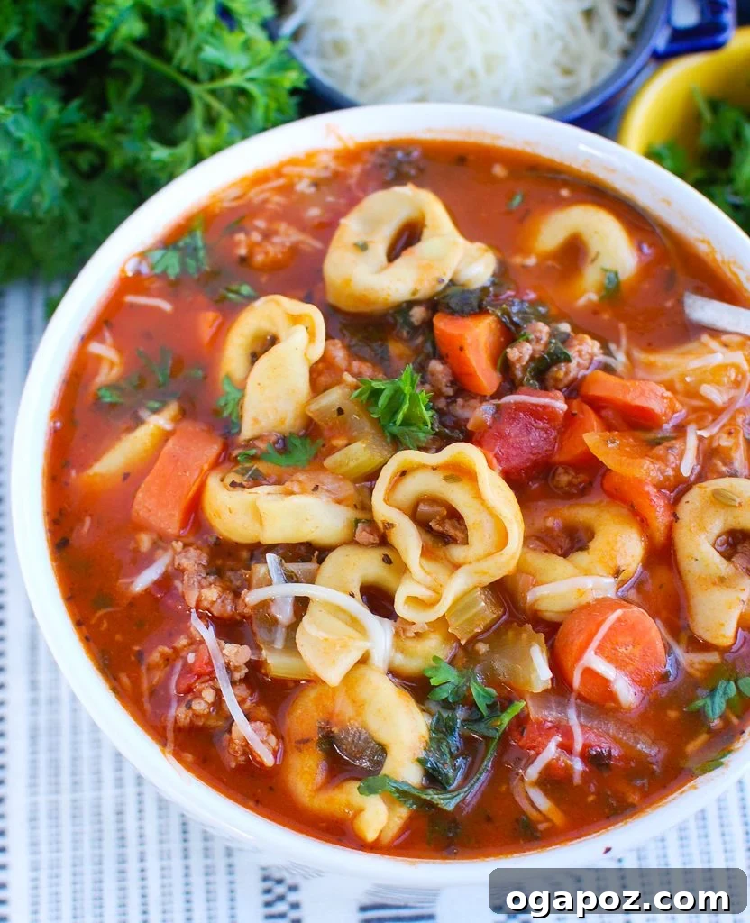 Italian Sausage and Tortellini Soup 2 Tortellini Sausage Soup in white bowl, garnished with fresh parsley and cheese