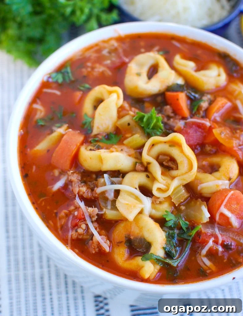 Italian Sausage and Tortellini Soup 3 Close-up of Tortellini Sausage Soup in a white bowl, showing tender tortellini, savory sausage, and vibrant vegetables