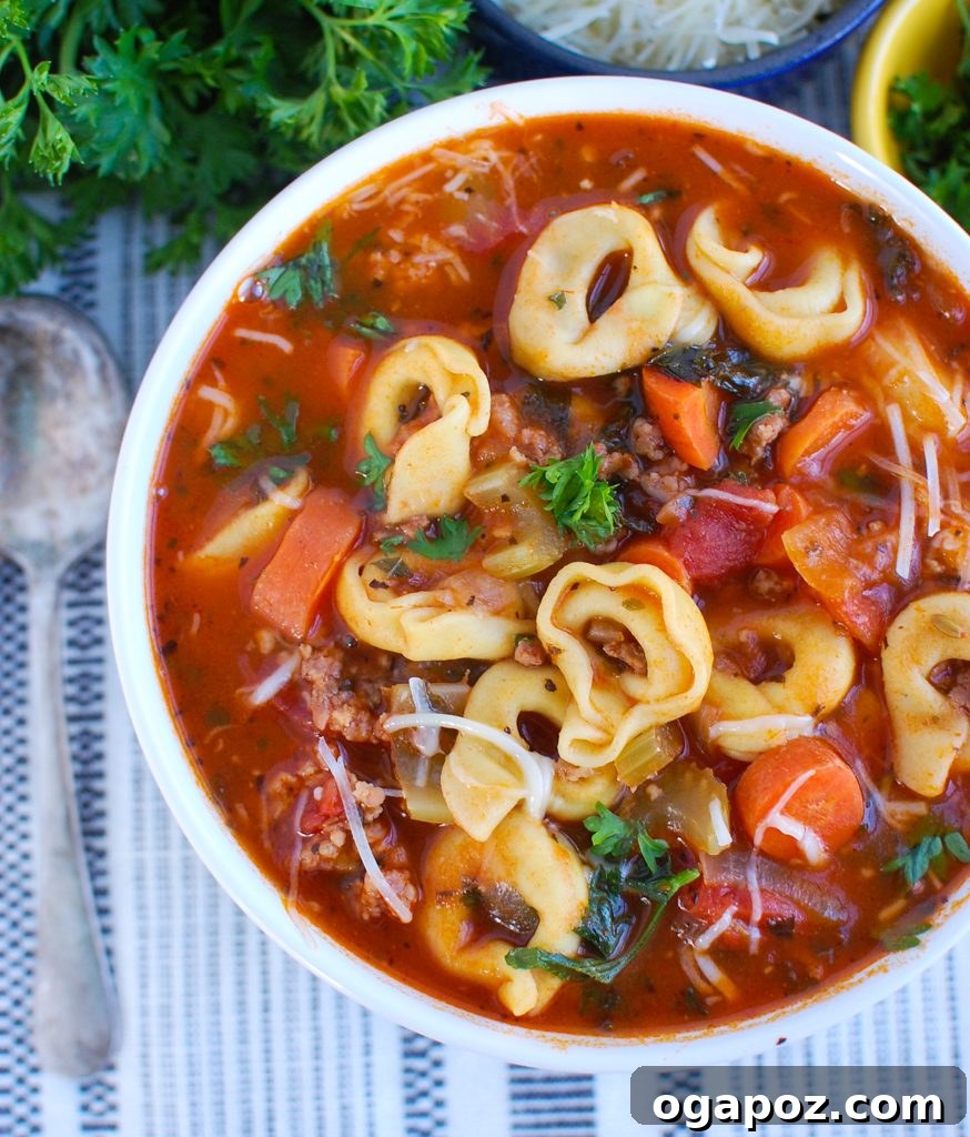 Italian Sausage and Tortellini Soup 5 Tortellini Sausage Soup garnished with fresh parsley and cheese in a rustic white bowl