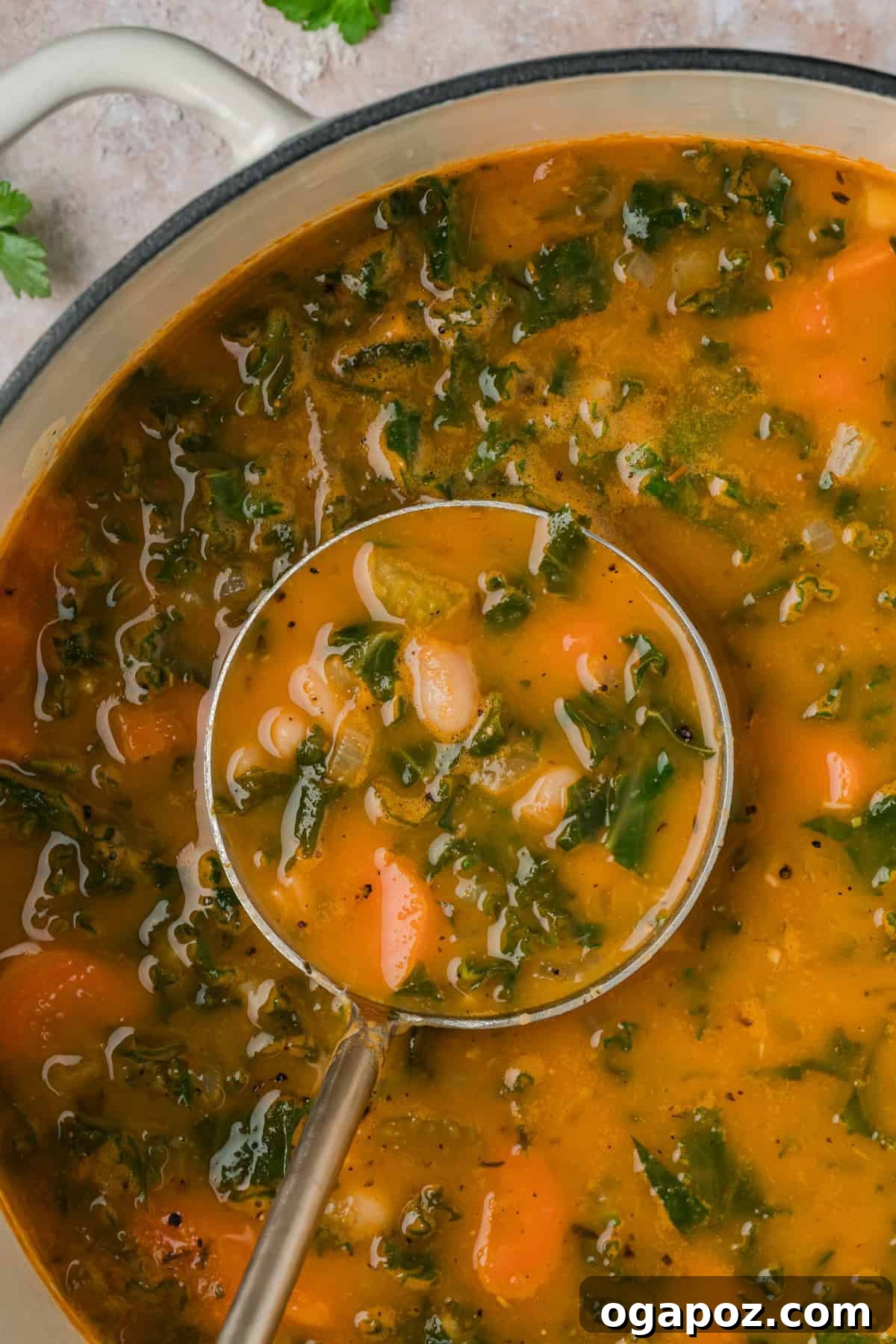 A beautifully presented bowl of vegetarian Tuscan white bean soup, accompanied by slices of crusty bread, inviting a warm and comforting meal on a wooden surface.