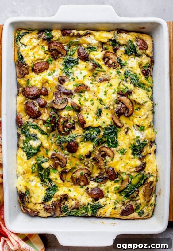 Over 37 Best Easy and Delicious Mediterranean Casserole Recipes 35 Savory spinach and mushroom egg bake, ideal for breakfast or lunch.