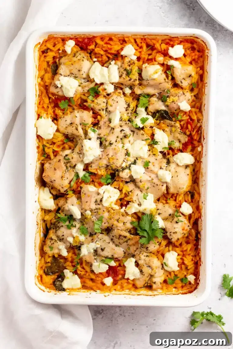 Over 37 Best Easy and Delicious Mediterranean Casserole Recipes 8 Greek Chicken Orzo Bake with lemon, tomato, and spinach.