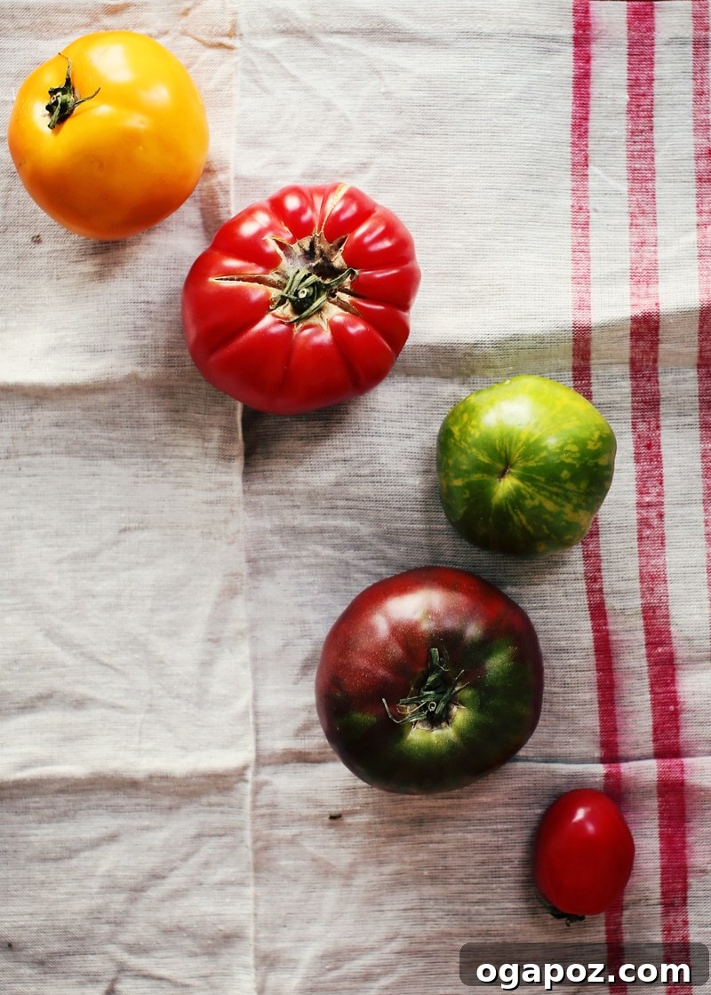 Close-up of grilled focaccia panzanella with mascarpone dollops
