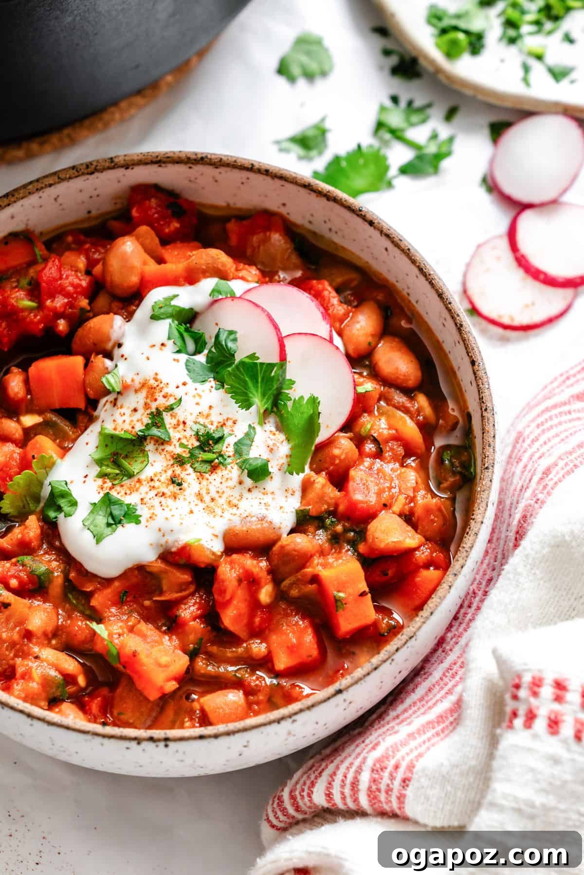 The Ultimate Homemade Vegetarian Chili 2 Homemade Vegetarian Chili Recipe in a white bowl, garnished with fresh cilantro and cheese