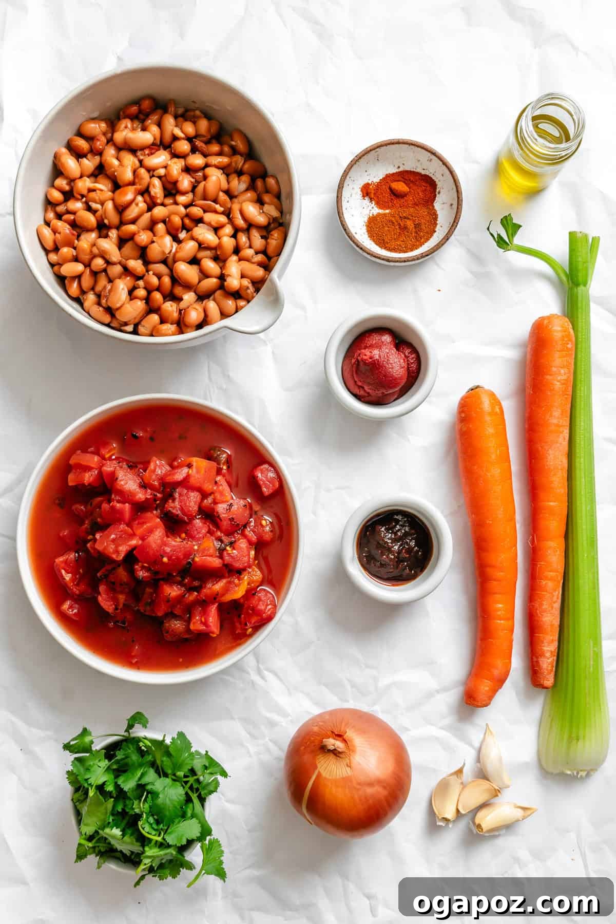 The Ultimate Homemade Vegetarian Chili 3 Collection of fresh ingredients for Homemade Vegetarian Chili Recipe