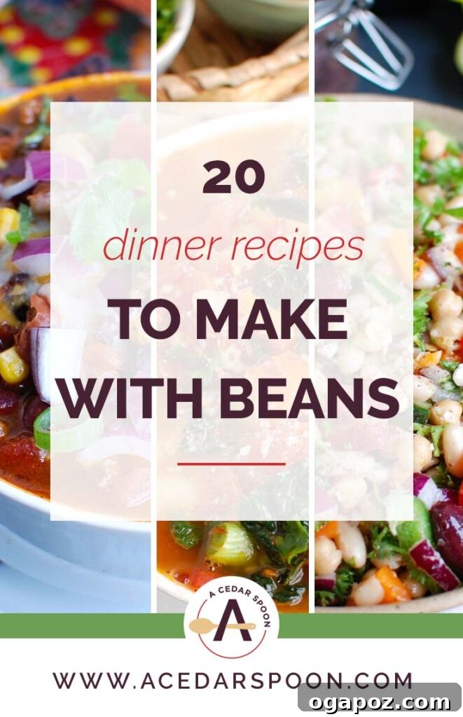 From Can to Table: 20 Delicious Bean Dinners 2 A vibrant collage of 20 different dinner recipes made with canned beans, featuring soups, salads, and main dishes.
