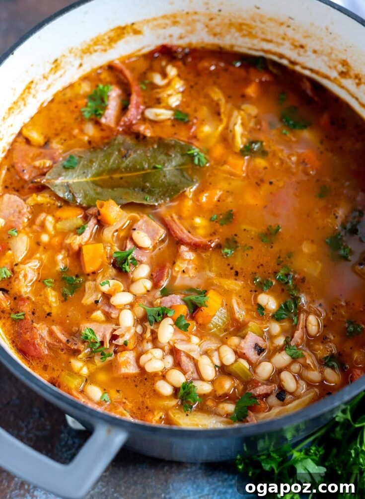Classic Ham and Bean Soup Recipe