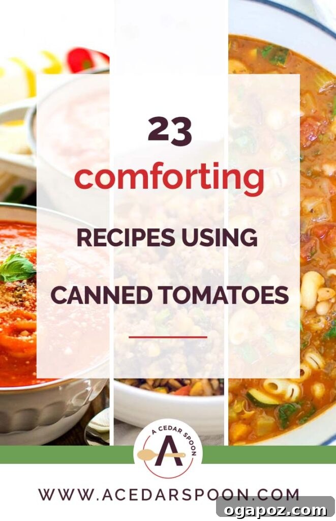23 Soul-Warming Canned Tomato Recipes 2 23 Comforting Recipes Using Canned Tomatoes Collage