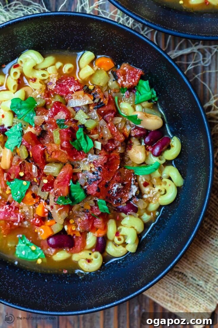 Vegetarian Pasta Fagioli Soup with Fire Roasted Tomatoes