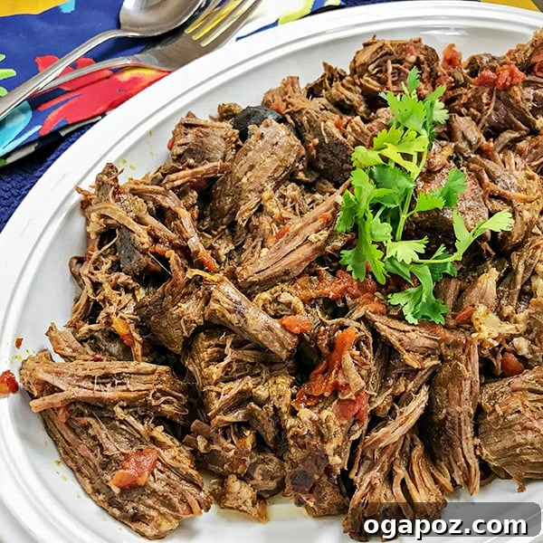 Instant Pot Mexican Pot Roast (Carne Guisada)