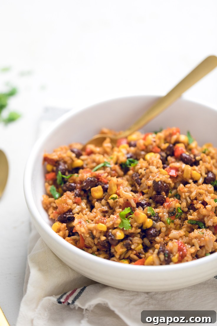 Flavorful Vegan Instant Pot Tex-Mex Rice
