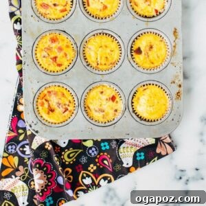 Happy Little Quiche Bites 5 Mini Quiches