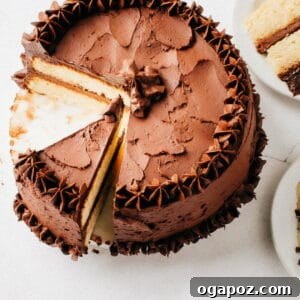 Velvet Vanilla Masterpiece 10 The Best Moist Vanilla Cake Recipe