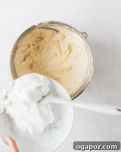 Velvet Vanilla Masterpiece 13 Aquafaba vs egg white - showing meringue folded into cake batter