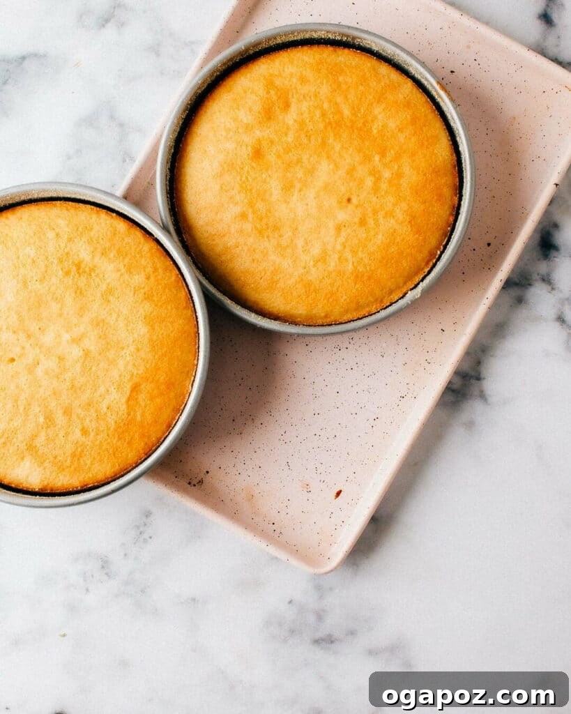 Velvet Vanilla Masterpiece 7 Best Moist Vanilla Cake, baked to golden perfection.
