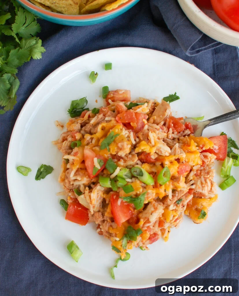 Fiesta Chicken Bake 2 Delicious Mexican Chicken Casserole served on a white plate, garnished with fresh cilantro.