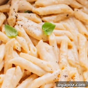 Alfredo Sauce with Penne Pasta in Sauce Pan