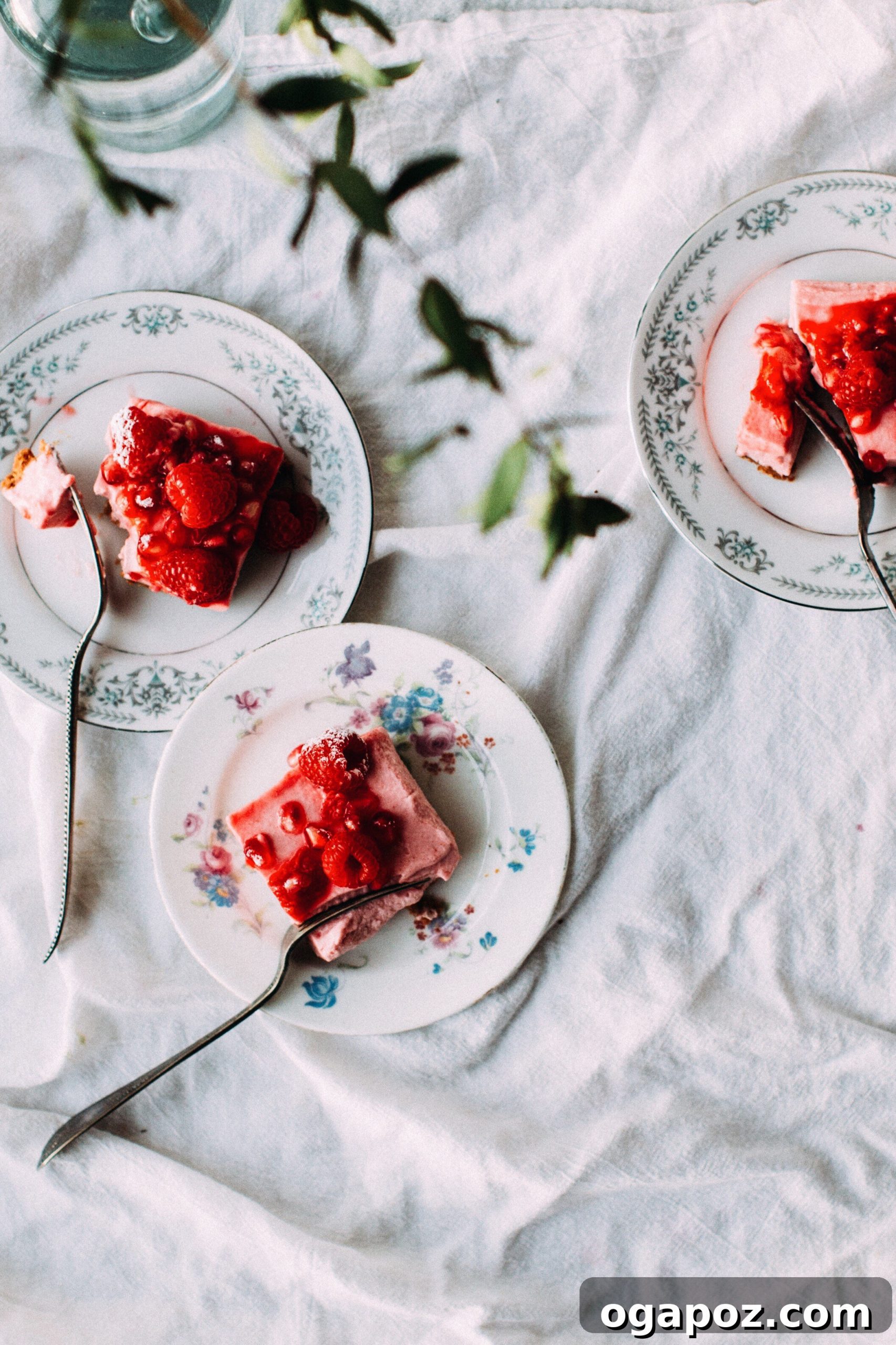 Luscious Raspberry Mousse Squares 3 A beautifully presented plate of Raspberry Mousse Squares, garnished with fresh raspberries and pomegranate seeds.