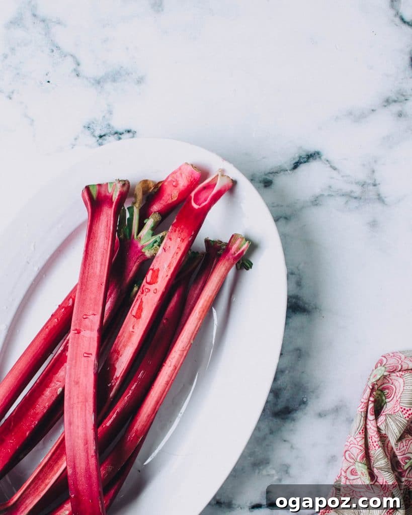 Our Go-To Easy Rhubarb Recipes 2 Freshly picked rhubarb stalks on a rustic plate, ready for cooking and baking delicious recipes.