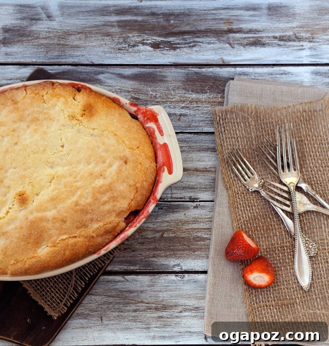 Our Go-To Easy Rhubarb Recipes 14 Steaming rhubarb pudding cake with a golden, cakey topping and a rich saucy bottom, served in a bowl.
