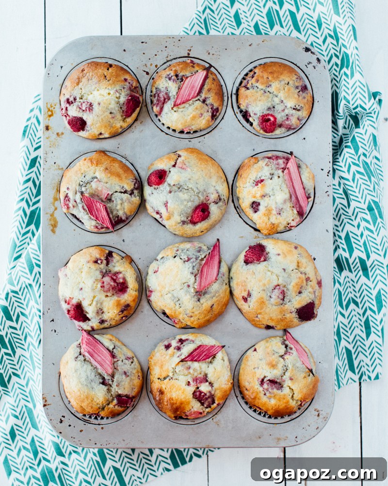 Our Go-To Easy Rhubarb Recipes 10 Fluffy Raspberry Rhubarb Muffins with golden tops, arranged on a rustic wooden board.