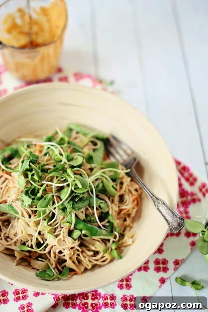 35+ Irresistible Side Dishes for Salmon 23 Soba Cabbage Noodle Salad recipe, addictive and perfect for summer, packed with crisp veggies and homemade peanut dressing.