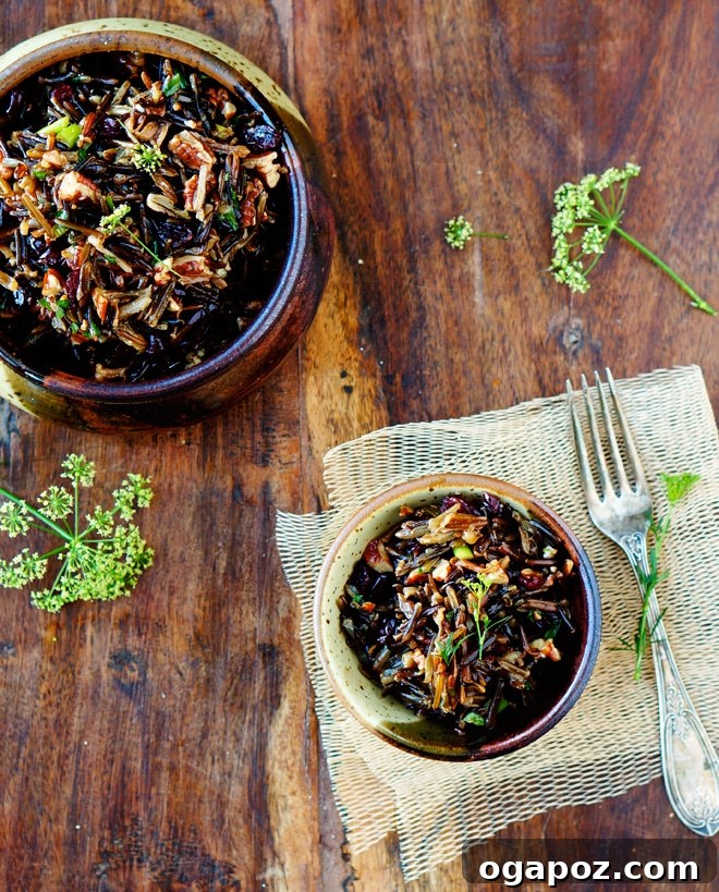 35+ Irresistible Side Dishes for Salmon 24 Wild Rice Salad, featuring pecans and cranberries.